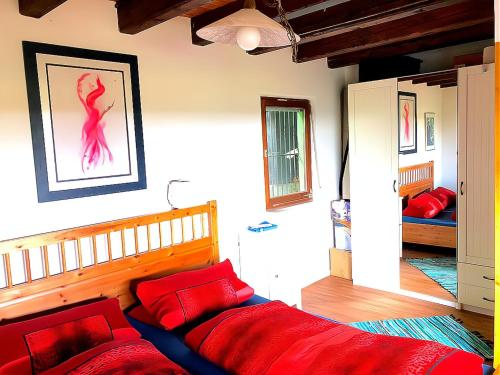 a bedroom with a bed with red pillows at Beautiful Holiday Home in Schöntal - Winzenhofen with Garden 