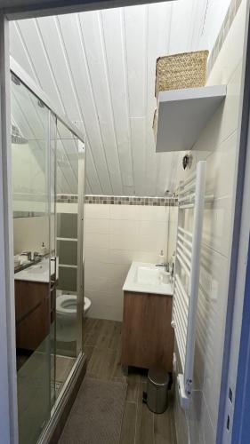 une salle de bain avec un lavabo et des toilettes dans l'établissement Appartement Chalet Pra Loup, à Uvernet