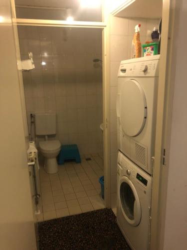 a bathroom with a washing machine and a toilet at Rozen boom in Voorburg