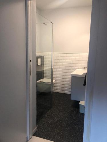 a bathroom with a shower and a toilet and a sink at Apartment Lena in Čižići