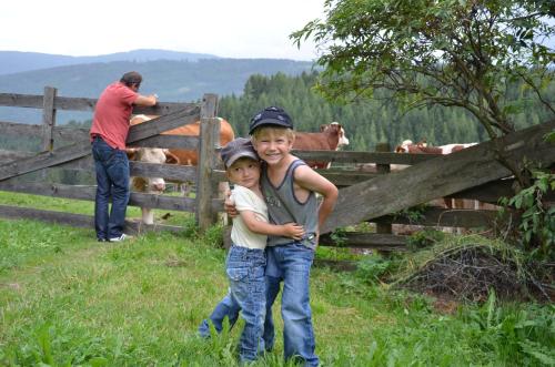 two children standing in front of a fence with cows at Ferienwohnungen Bachergut in Mariapfarr