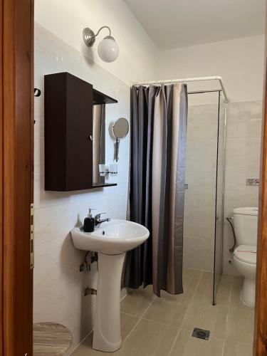 een badkamer met een wastafel, een douche en een toilet bij Liani Ammos in Amoliani