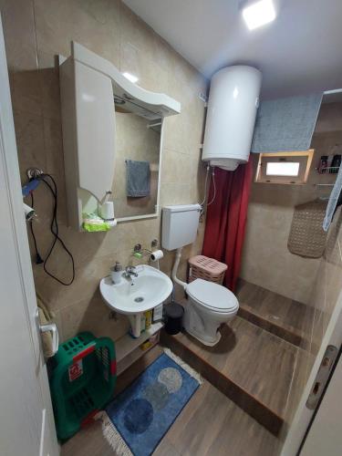 Etno House Jakic في باغينا باستا: حمام صغير مع مرحاض ومغسلة