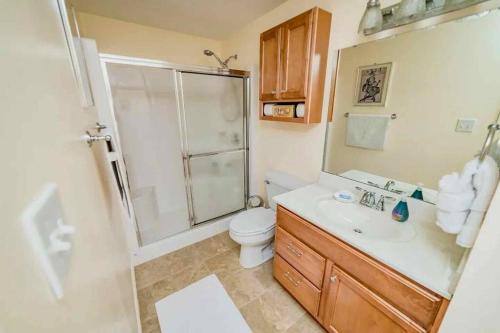 a bathroom with a shower and a toilet and a sink at New Kid in Town - King Bed & Sofa Bed - Sleeps 2-4 in Lynchburg