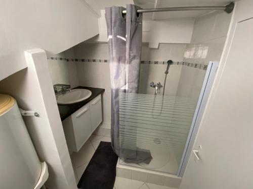 une salle de bain avec douche et lavabo dans l'établissement Évasion Romantique sous les Toits Au Coeur du Vieux Nice, à Nice