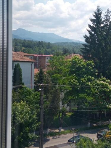 - une vue sur la ville depuis la fenêtre dans l'établissement New Apartment, à Petroşani