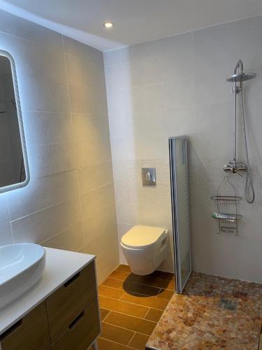 ein Bad mit einem WC und einem Waschbecken in der Unterkunft Habitation gens bois in Le Diamant