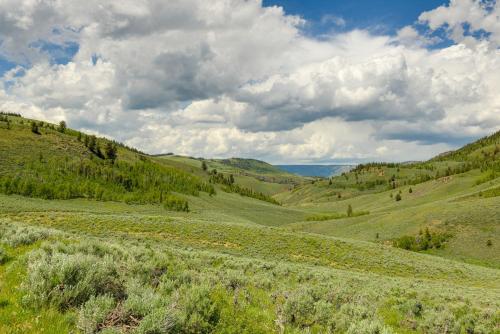 a green hillside with trees and a field of flowers at Mountain Cabin in Wyoming Range Scenic and Remote! in Kemmerer