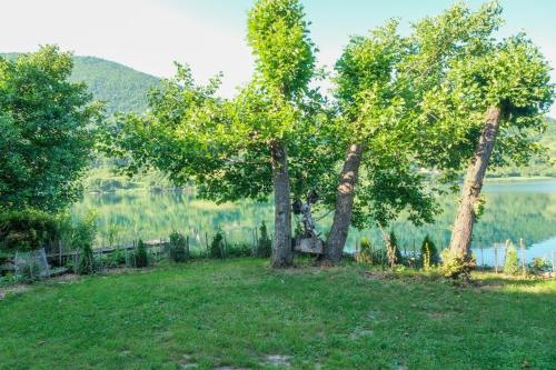 Gallery image of ECO cabin Plivsko jezero Jajce in Jajce