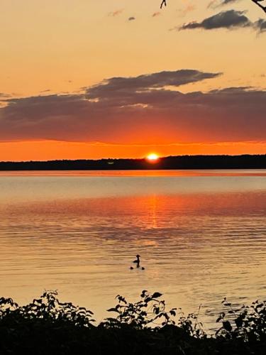 a person swimming in a lake at sunset at Sjönära stuga in Norrtälje