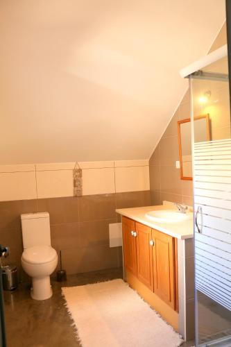 a bathroom with a toilet and a sink at Madeira Native Motion Apartment in Ponta do Pargo