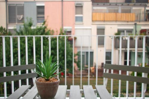 a potted plant sitting on top of a bench at Flat2go modern apartments - Harmony of city and nature in Vienna