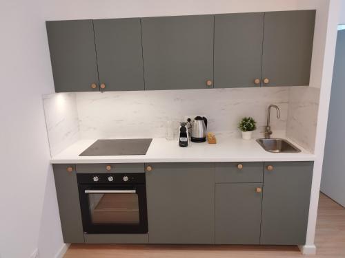 - une cuisine avec des placards gris, une cuisinière et un évier dans l'établissement T2 cosy - centre ville, à Marseille