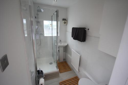 a bathroom with a shower and a toilet and a sink at Brunswick Cottage in Reading