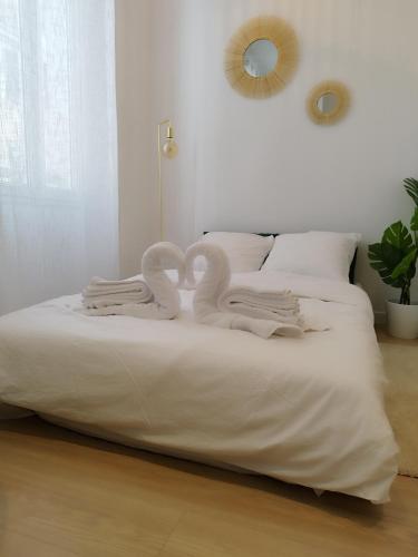 T2 cosy - centre ville