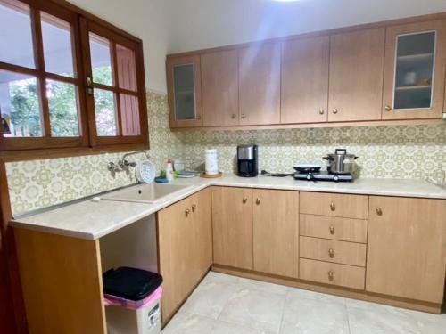 a kitchen with wooden cabinets and a counter top at Tiffany's 5' min from airport in Spata