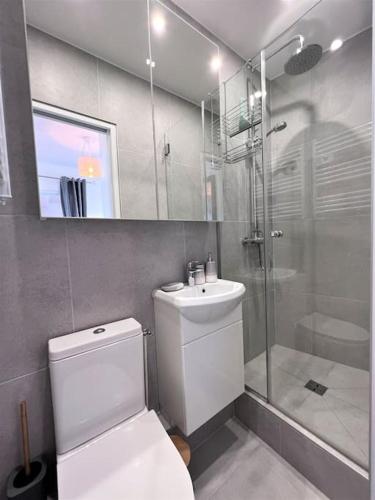 une salle de bain avec toilettes, douche et lavabo dans l'établissement Le Cyrano, Deauville - App. T2 proche de la mer, à Deauville