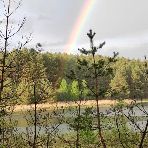a rainbow in the sky over a river with trees at Domek Czerwony Kapturek in Płocice