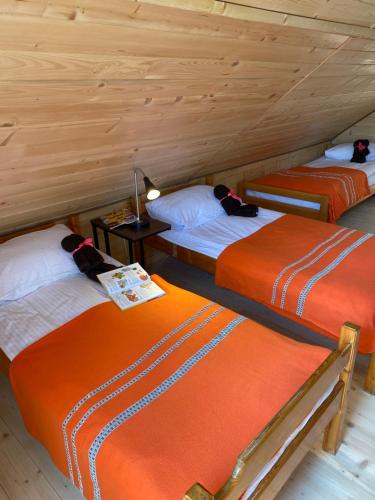 three beds in a room with wooden walls at Apartamenty Migaczówka in Tylicz