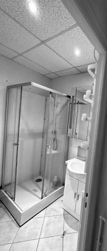 uma casa de banho com um chuveiro e um lavatório. em La pause em Saint-Maur-des-Fossés