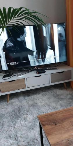uma televisão de ecrã plano numa bancada numa sala de estar em La pause em Saint-Maur-des-Fossés