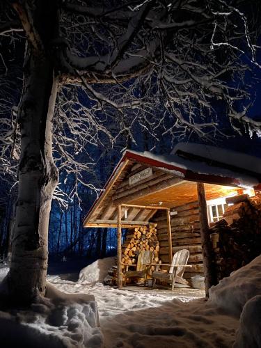 Fotografie z fotogalerie ubytování Trapper John's Cabin & Cottages v destinaci Talkeetna