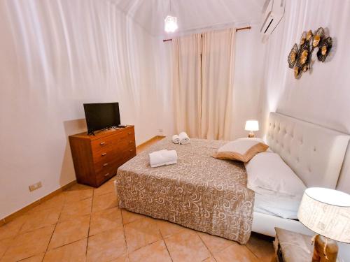 Vatican Shelter photo 6