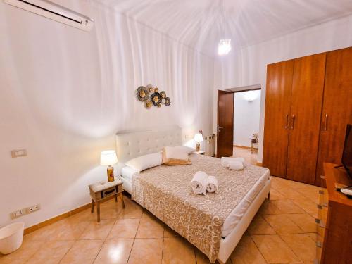 Vatican Shelter photo 14