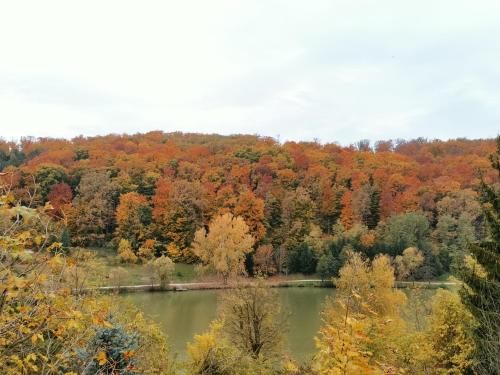 Blick auf einen See inmitten eines Waldes in der Unterkunft Mészi Vendégház in Zalacsány