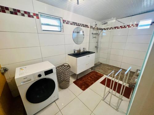 a small bathroom with a sink and a washing machine at Charmante Villa, kaz’ AA.Liyah in Pointe-à-Pitre