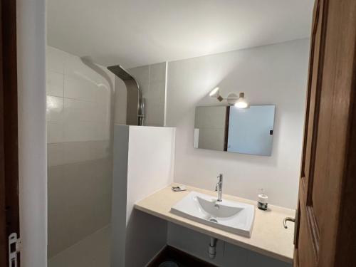 La salle de bains blanche est pourvue d'un lavabo et d'une douche. dans l'établissement Chambre Birloton, à Lamentin