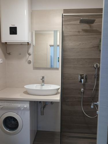 a bathroom with a sink and a washing machine at Apartments with parking space Njivice, Krk - 14932 in Njivice