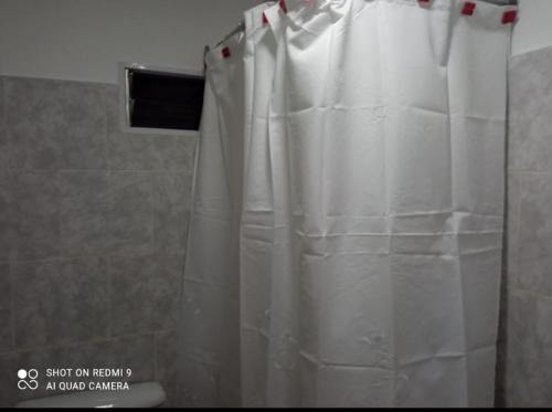 a white shower curtain in a bathroom at Departamento Chacra in Villa Regina