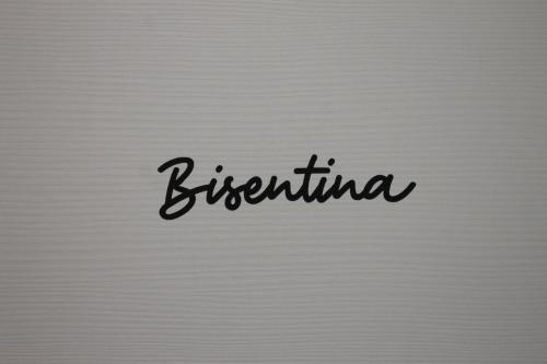 Like Lake Bisentina – Photos 3