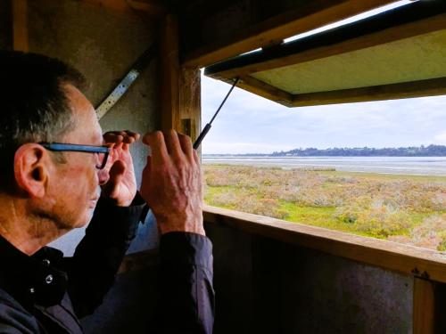 a man looking out the window of a train at Pelican Point Sanctuary in St Helens