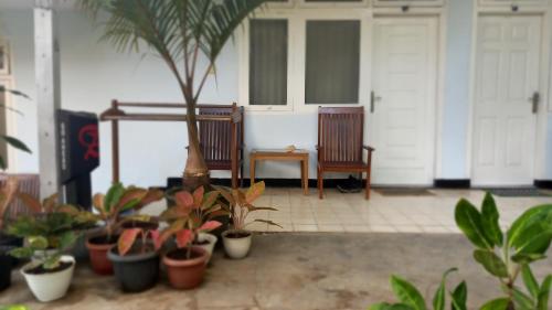 Φωτογραφία από το άλμπουμ του Bajo Hotel σε Labuan Bajo