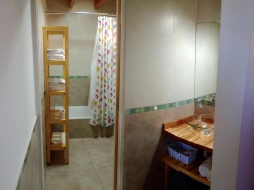 a bathroom with a shower and a sink at Aguas Claras del Sur in Dina Huapi
