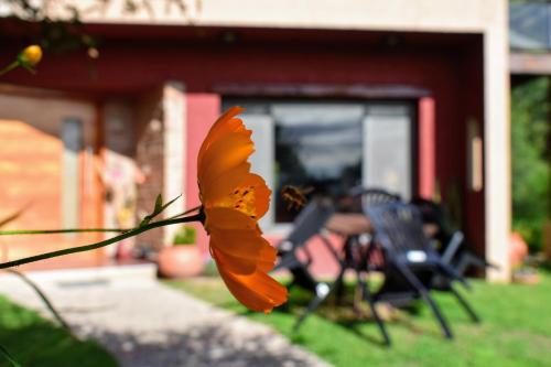 a close up of a flower in front of a house at Moradillo Apart in La Cuesta
