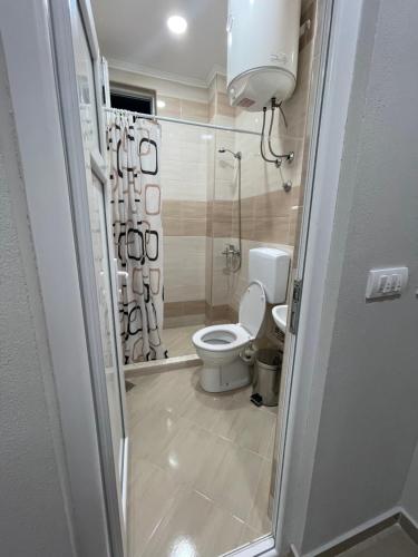 a small bathroom with a toilet and a shower at L&I Villa in Ulcinj