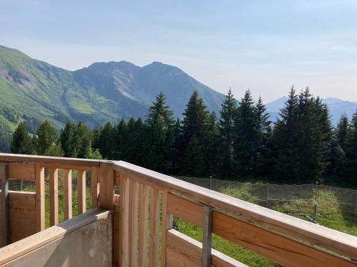 Appartement pour 6/7 pers, vue montagne, petits animaux admis