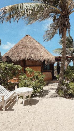 a bench and a hut on a beach with a palm tree at La Conchita Tulum in Tulum