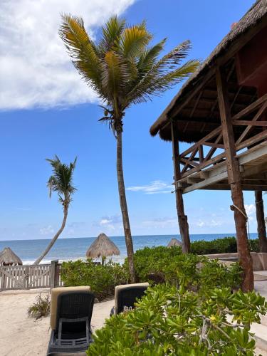 a beach with chairs and a palm tree and the ocean at La Conchita Tulum in Tulum