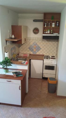 Η κουζίνα ή μικρή κουζίνα στο Apartments Ručna