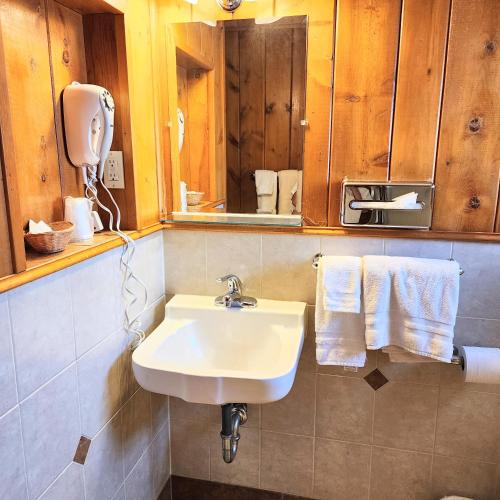 Bilik mandi di Canyon Motel near Rocky Mountain National Park