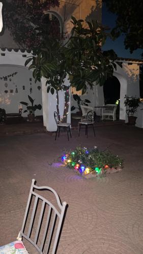 a park bench with a christmas tree and lights at Da Tea in San Teodoro