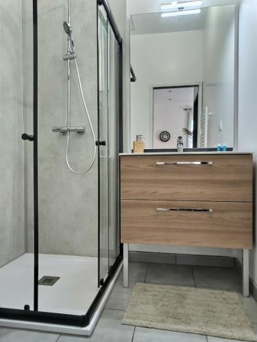 une salle de bain avec une douche, un lavabo et un miroir dans l'établissement Le Pit-Stop - Wifi - Parking, à Albi