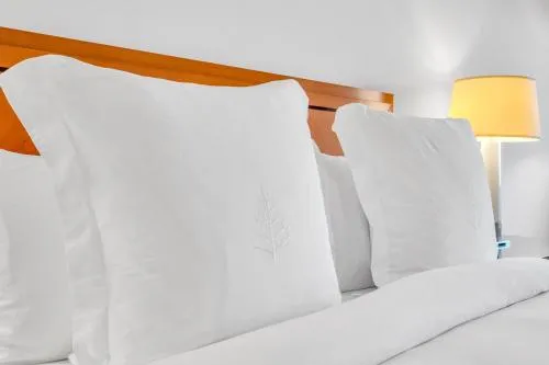 2 Bedroom OR King Studio Suites Four Seasons Hotel Miami Free Wi-Fi & Free Parking photo 107