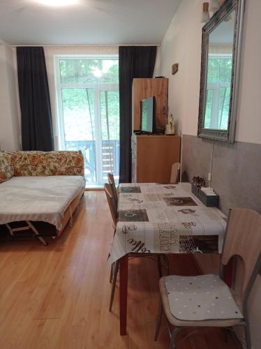 a living room with two tables and a couch at Apartmán Šafran in Donovaly