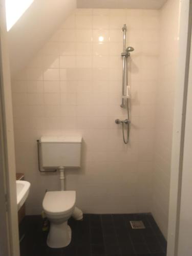 Baño pequeño con aseo y lavamanos en Ground Floor Apartment Westerpark en Ámsterdam