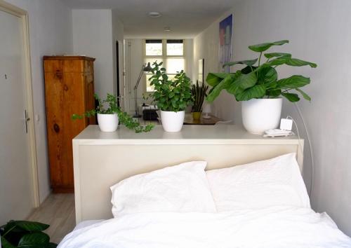 1 dormitorio con macetas en un estante sobre una cama en Ground Floor Apartment Westerpark en Ámsterdam